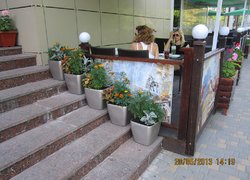 Озеленення території міста Одеса